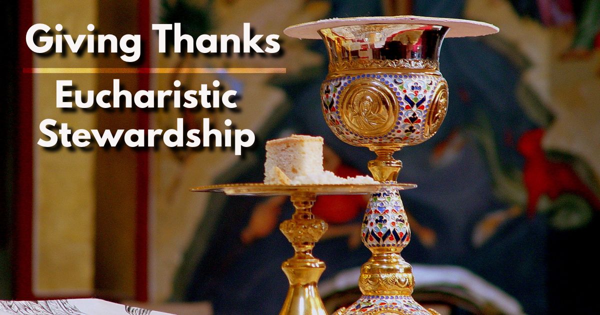 Stewardship